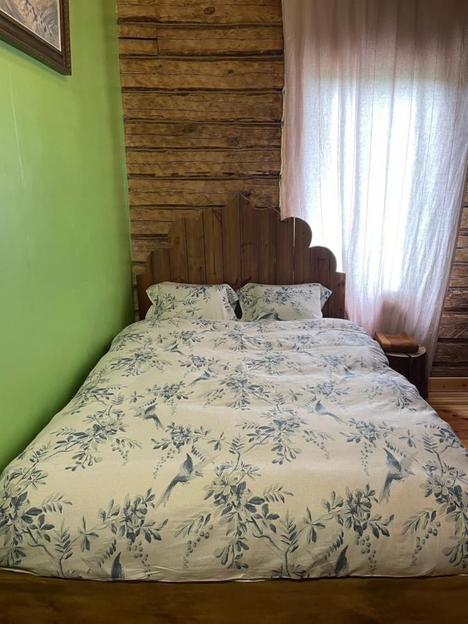 Stebuklas Coliving VNO Exteriér fotografie